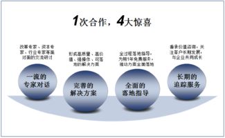 雙百行動 引領發展的專業信息咨詢服務